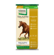 Triumph-Professional-Pellet-Horse-Feed