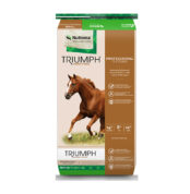 Triumph-Professional-Textured-Horse-Feed