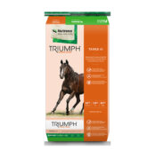 Triumph-Triple-10-Textured-Horse-Feed