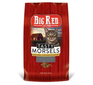 big red cat