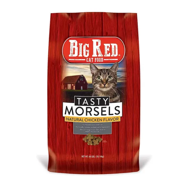 big red cat