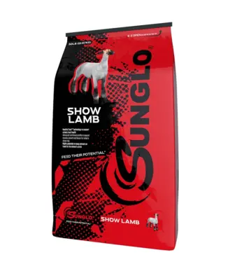 sunglo-98318